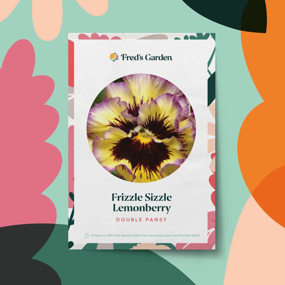 Dobbelt Stedmoderblomst 'Ruffled Pansy Lemonberry' (frø)